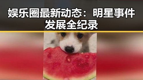 娱乐圈最新动态:明星事件发展全纪录