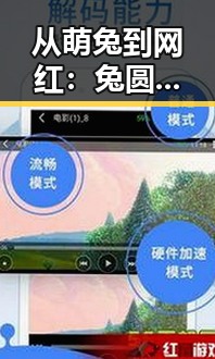 从萌兔到网红:兔圆圆背后的娱乐圈秘密