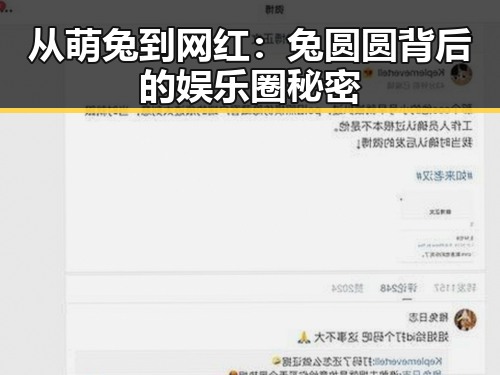 从萌兔到网红:兔圆圆背后的娱乐圈秘密
