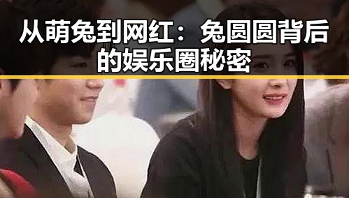 从萌兔到网红:兔圆圆背后的娱乐圈秘密