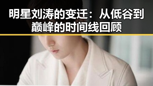 明星刘涛的变迁:从低谷到巅峰的时间线回顾