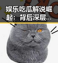 娱乐吃瓜解说崛起：背后深层次的文化现象与影响分析