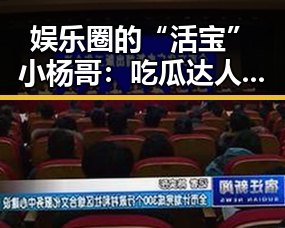 娱乐圈的“活宝”小杨哥：吃瓜达人背后的多面人生