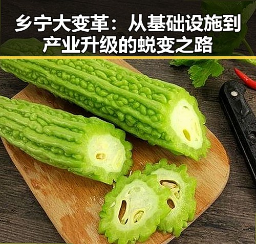乡宁大变革:从基础设施到产业升级的蜕变之路