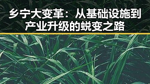 乡宁大变革:从基础设施到产业升级的蜕变之路